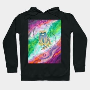 cosmic trippy rainbow trash panda Hoodie